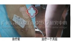 ��Уѧ���ȶ��ڰ���